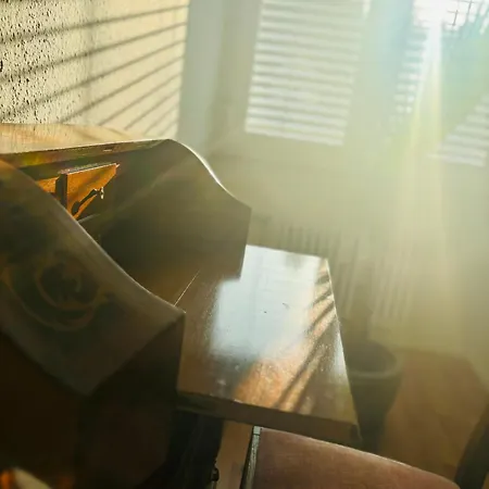 Blackforest - 3 프라이부르크 임 브리스가우