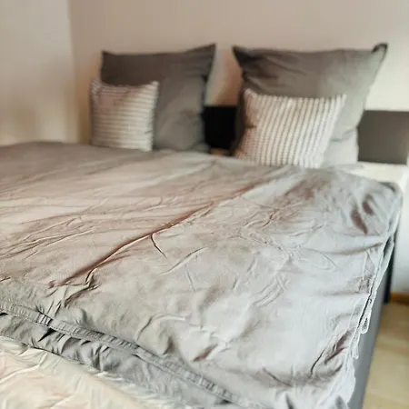 Blackforest - 3 프라이부르크 임 브리스가우