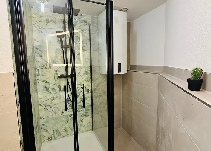 Blackforest - 3 فرايبورغ